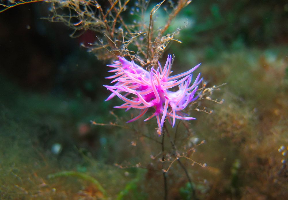 Foto di Massimo Bertassello