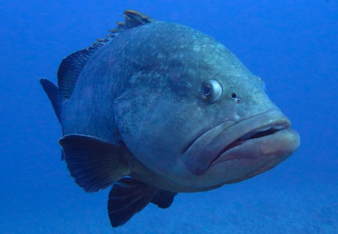 Foto di Massimo Bertassello