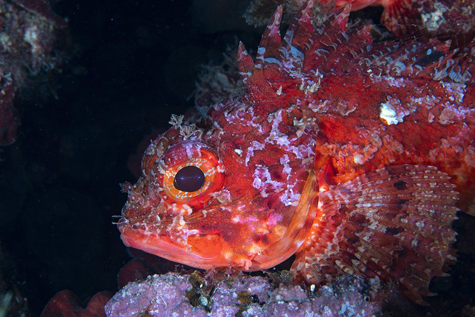 Fotografia di Alessandro Rogato